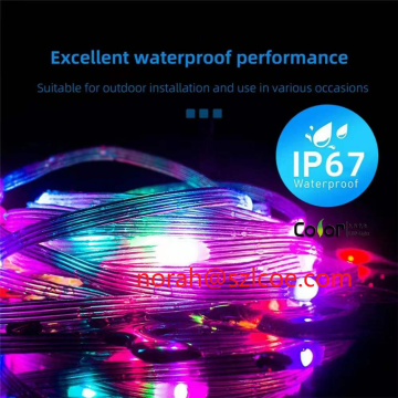 2022 LED Magic color leather wire lamp string RGB point control APP waterproof remote controlled