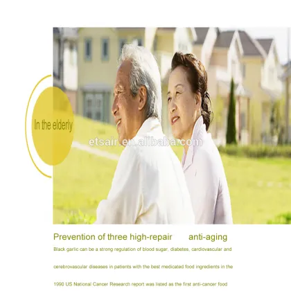 Wholesale Stainless Black Garlic Fermenting Machine Black Garlic Fermenter Black Garlic Fermentation Box