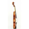 Natrual Dry Solid Wood Professional Violin