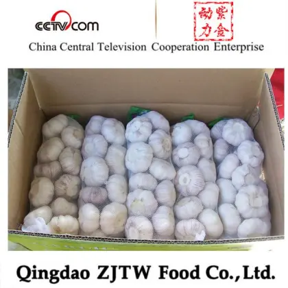 Jinxiang Garlic Wholesale