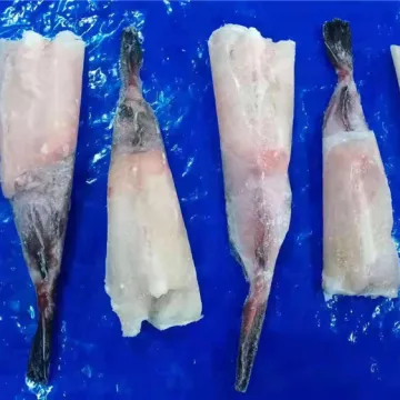 frozen monkfish tail lophius litulon,frozen monkfish tail with belly,frozen new landing monkfish tail