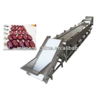 Palm dates sorting machine dates Colead