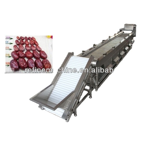 Industrial palm date Grading Machine According to size