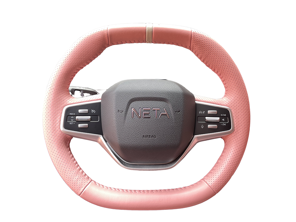 5-seater SUV Neta V 2021 model
