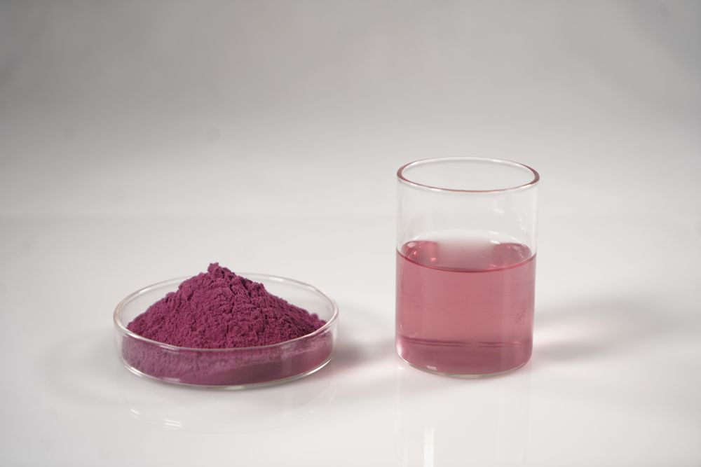 European Bilberry Fruit Powder