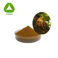 Phellinus linteus polysaccharide 30% Sanghuang -extract