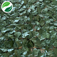 As imitações de folhas de plantas são usadas para decoração