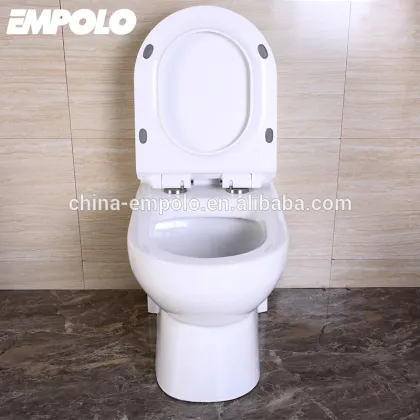 one Piece Washdown /siphonic Toilet Factory S/P Trap UF /PP Soft Closing Cover toilet tank toilet chair s-trap toilet ET211