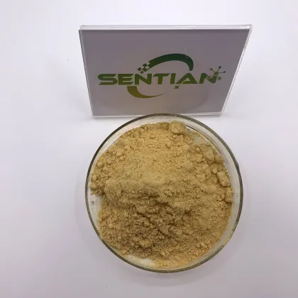 High Quality Natural Monk Fruit Extract Powder