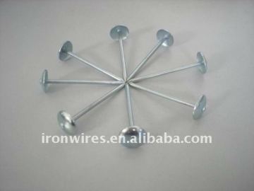 Roofing iron nail bwg9 x 2.5''