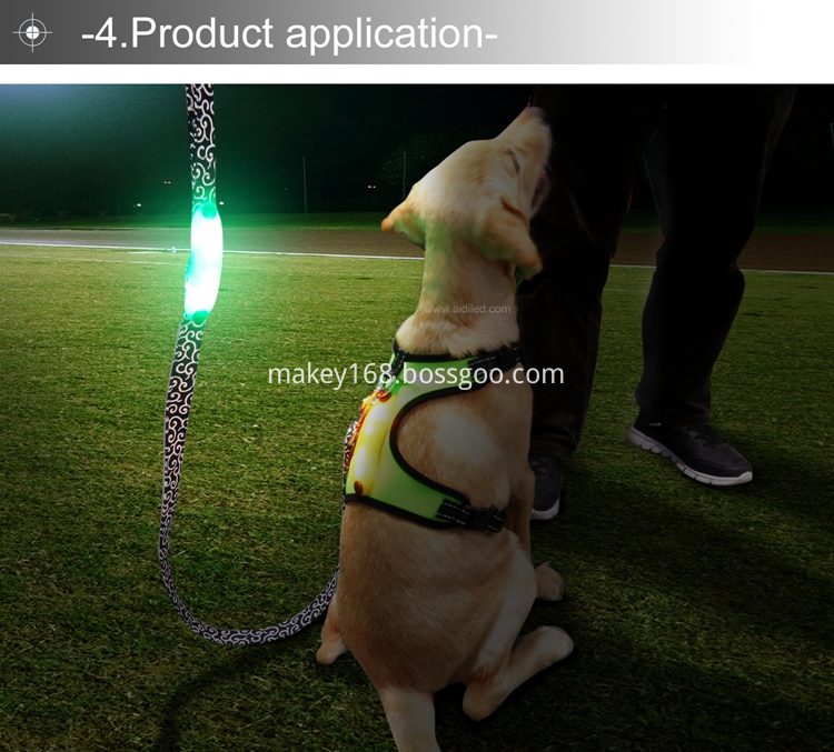 Led Light-Up Dog Lead
