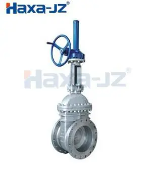 Gate Valve Z40H