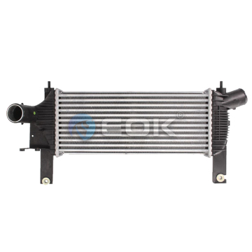 EOK Intercooler for Nissan Navara II D40 2.5 dCi 14461-EB360