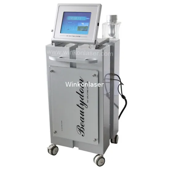 Explode Fat Vacuum Ultrasonic Cavitation Slimming Machine , 4 Ultrasound Paddles