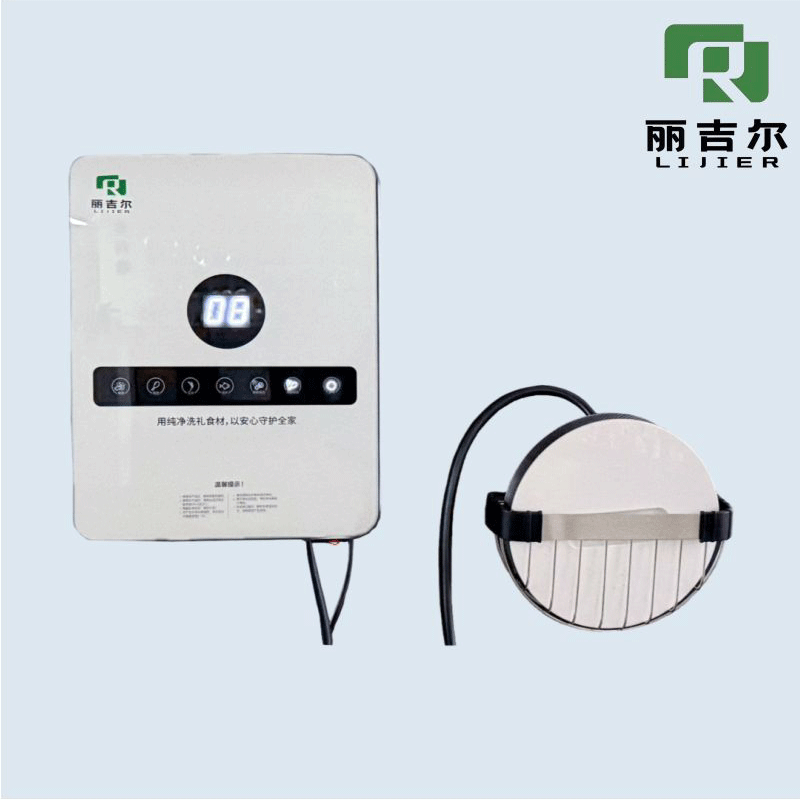 Eco-Friendly Food Purifier for Home Use