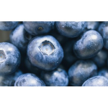 Blueberry Extract 25% Antioxidant Anthocyanins Powder
