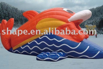 inflatable dolphin