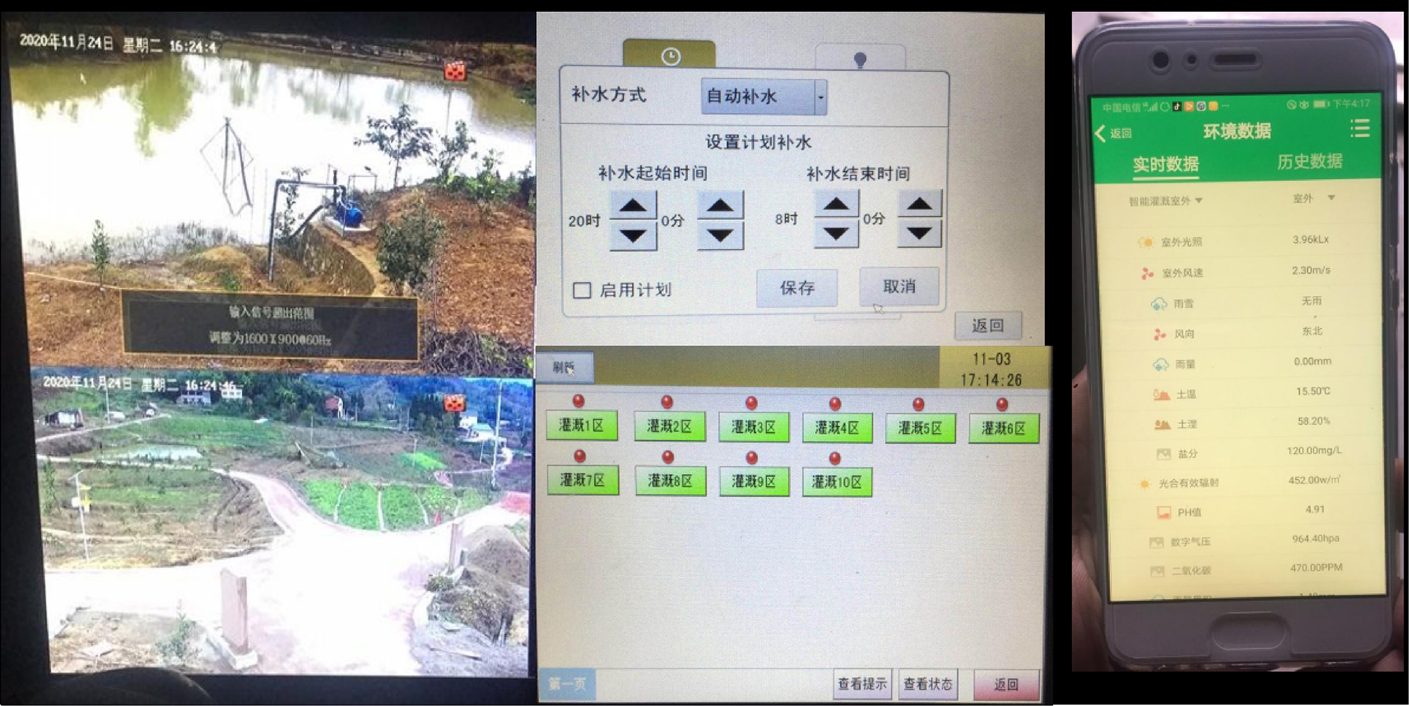 370 му позднеспелых памяло ў Лянпіне 370 mu of late-ripening pomelos in Liangping