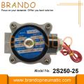 2S250-25 1 `` Paslanmaz Çelik Elektrikli Solenoid Valf 220VAC