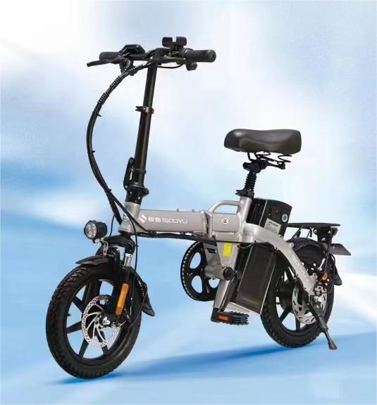 New hot folding electric bike