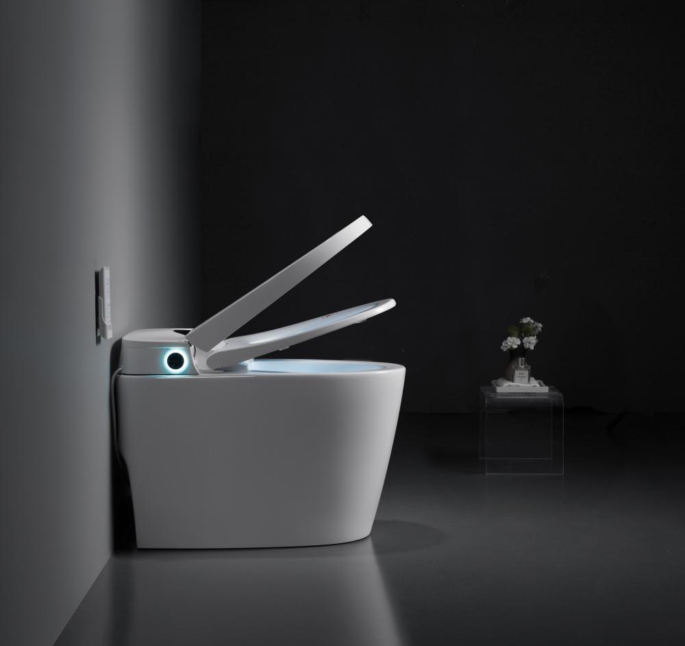 8303a 8smart Toilet