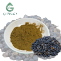 Экстракт Ligustrum Lucidum для пищевых добавок