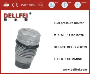 1110010029 Pressure Limiting Valve for CUMMINS