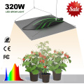 Led Light For Grow Indoor Plant