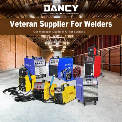Portable Arc welders 120amp Inverter DC 127V 220V mma welders dual voltage high efficiency Arc Stick household welding machine