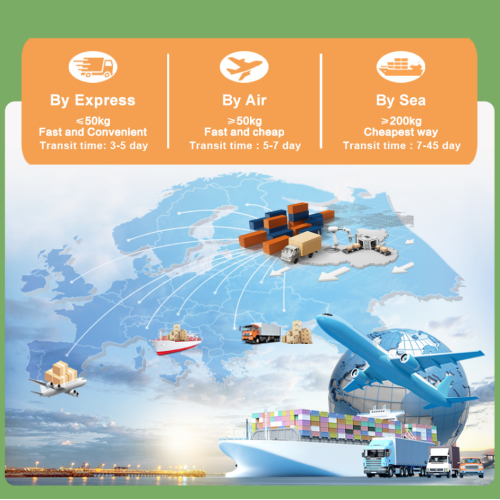 Estratto di rabarbaro premium per infiammazione