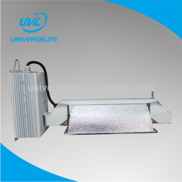HPS 1000W High Pressure Sodio Grow Light