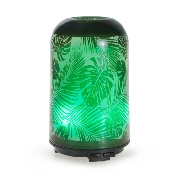 New Glass Oil Aroma Diffusers for Essential Oils