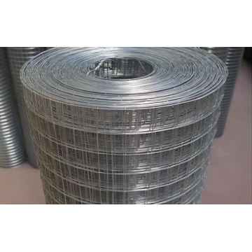 Galvanized Welded Wire Mesh Rolls