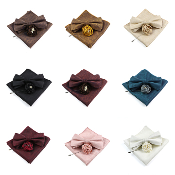 Écharpe en polyester classique et ensemble cadeau à nœud papillon