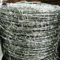 galvanized barbed wire roll