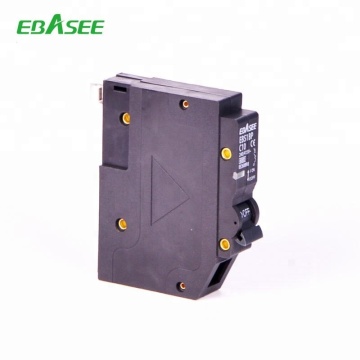 Factory Price Plug-On EBS1BP 1P 2P 3P 60A Circuit Breaker