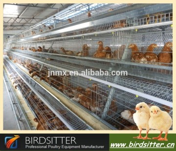 Birdsitter hot selling automatic cage for growing broiler for sale