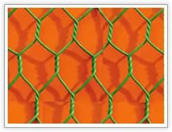 Hexagonal Wire Netting