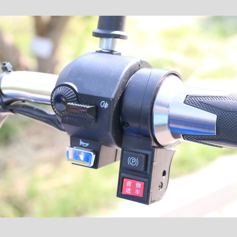 دراجة ثلاثية العجلات الكهربائية للبالغين عالية الجودة لاستخدام البضائع