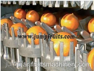 الفاكهة البرتقالية/البرقوق/الكمثرى/آلة استخراج عصير الخوخ