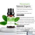 100%Pure Natural Aromatherapy Grade Ravensara Essential Oil
