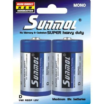 1.5V UM1 D Size R20_B2PB Battery