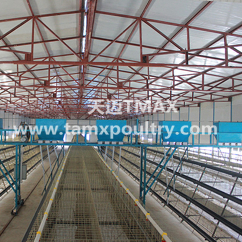 Automatic Chicken Cage System