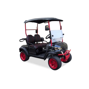 Son Teknoloji 2 Kişilik Elektrikli Golf Aracı