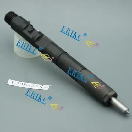 Ejbr02501z Delphi Common Rail Inyector Diesel Injector Ejbr0 2501z and Ejb R02501z Fuel Pump Dispenser Inyector and Delphi Fuel Injector