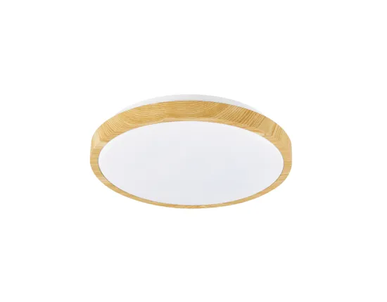 LED outdoor lamp Ceiling light
