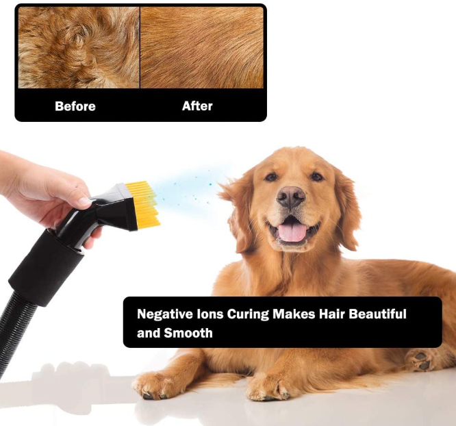 Pet Dog Hair Force Dryer