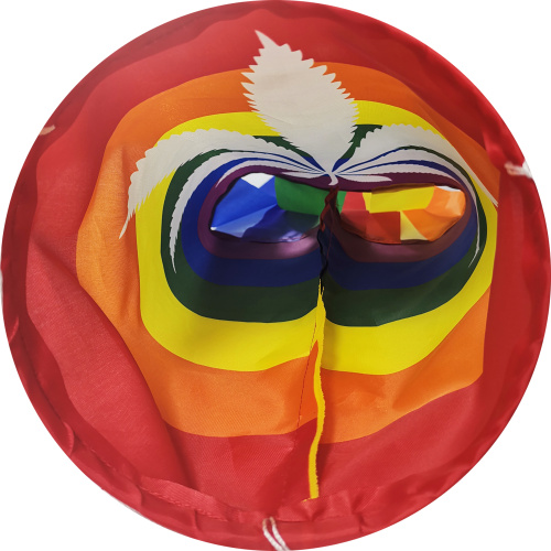 All Country Rainbow Pattern Gay Pride Windsock