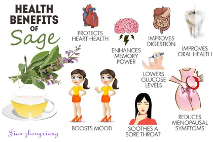 Wholesale Bulk Burdock Essential Oil For Hair Care