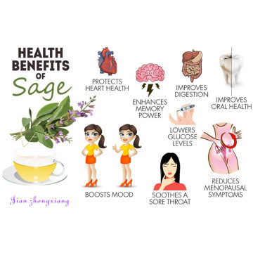 sage essential oil therapeutic grade